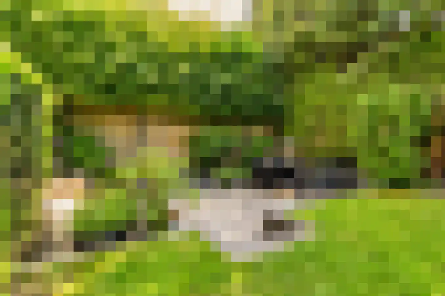 Mahlerpad 4 Veenendaal thumbnail 21