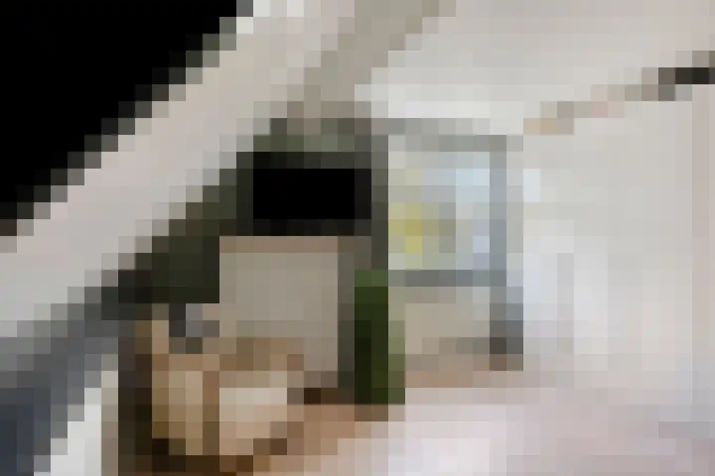 Mahlerpad 4 Veenendaal thumbnail 22