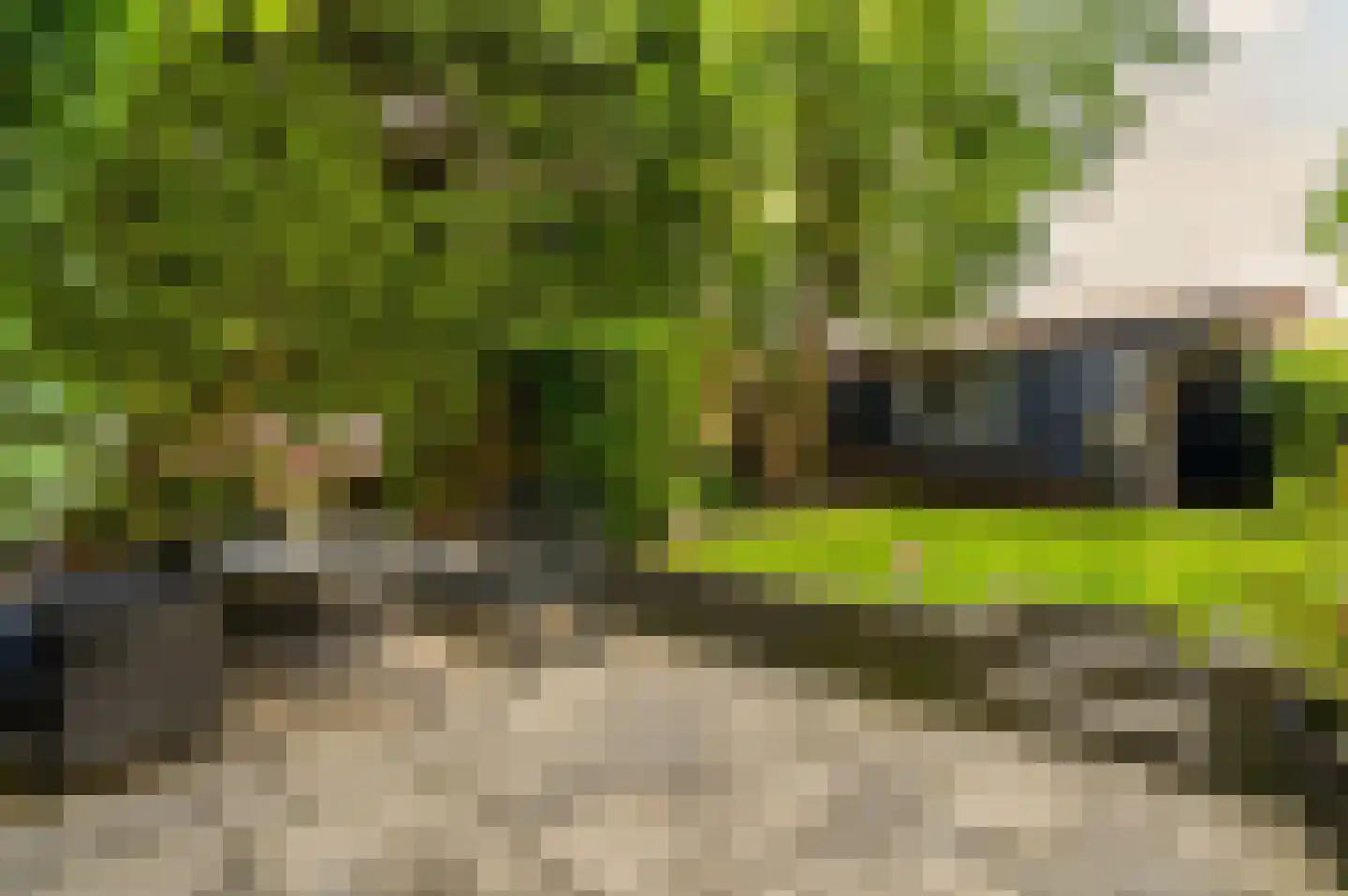 Mahlerpad 4 Veenendaal thumbnail 22