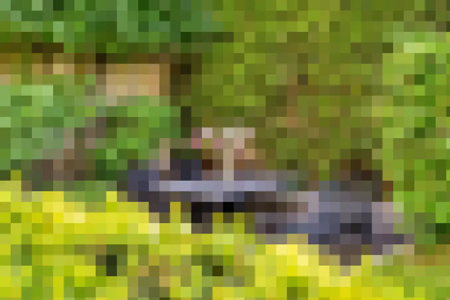 Mahlerpad 4 Veenendaal thumbnail 23