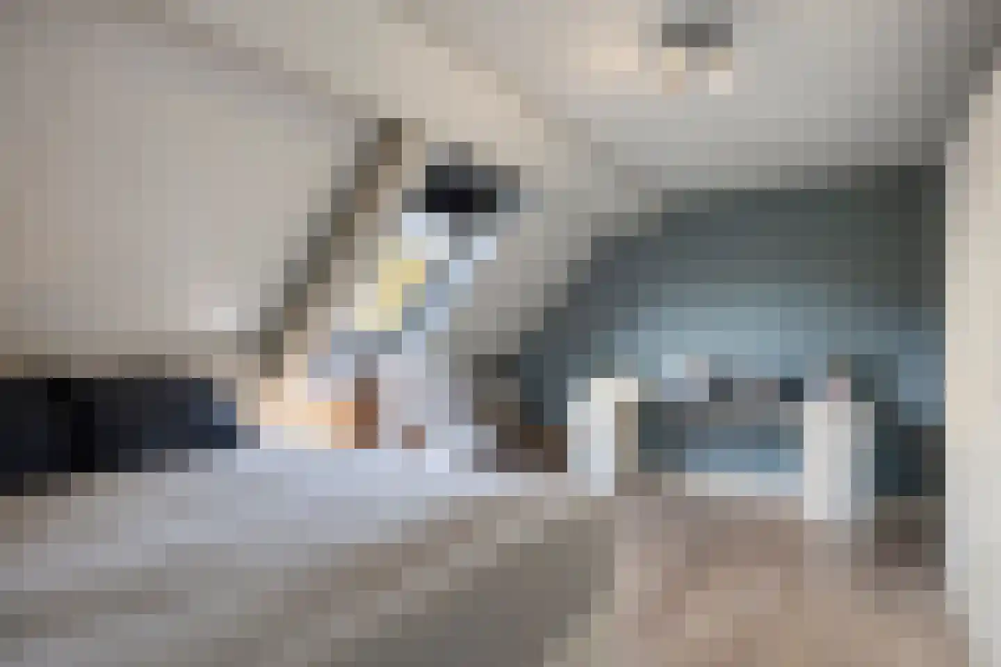 Mahlerpad 4 Veenendaal thumbnail 25