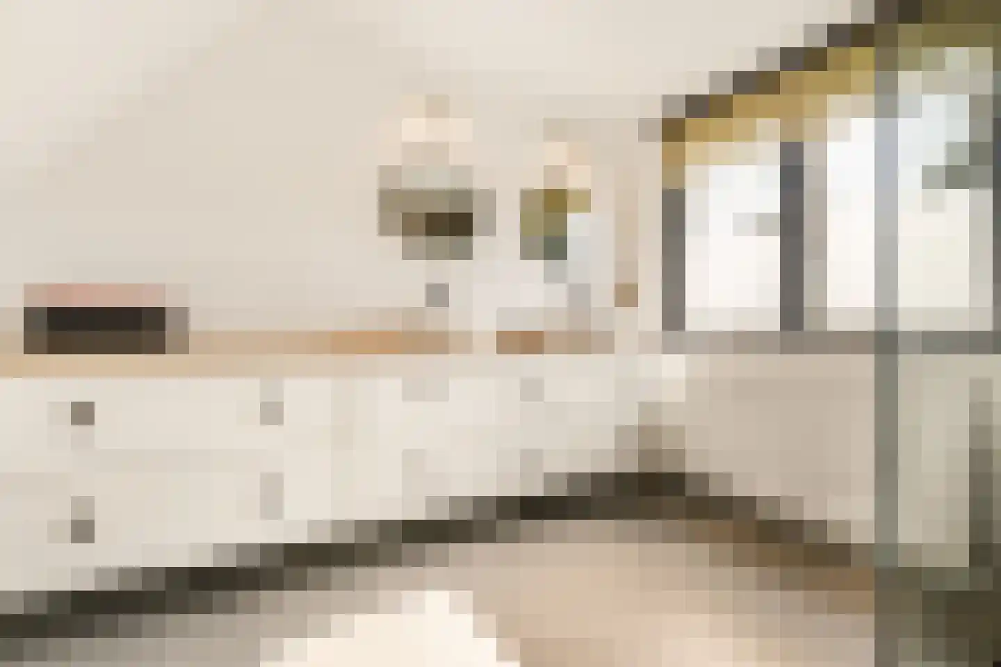 Mahlerpad 4 Veenendaal thumbnail 32