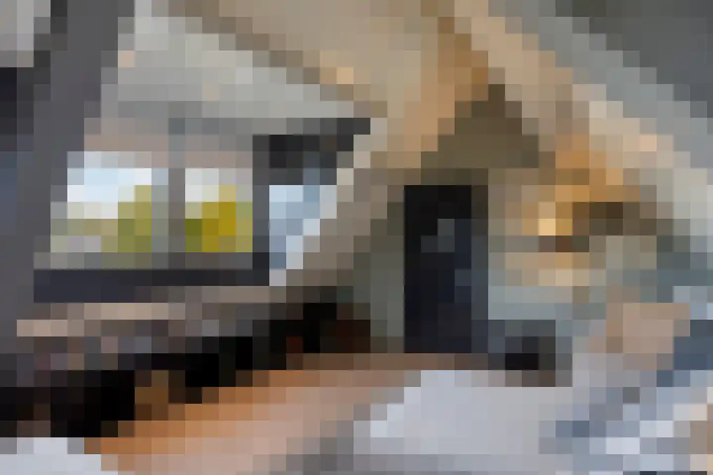 Mahlerpad 4 Veenendaal thumbnail 35