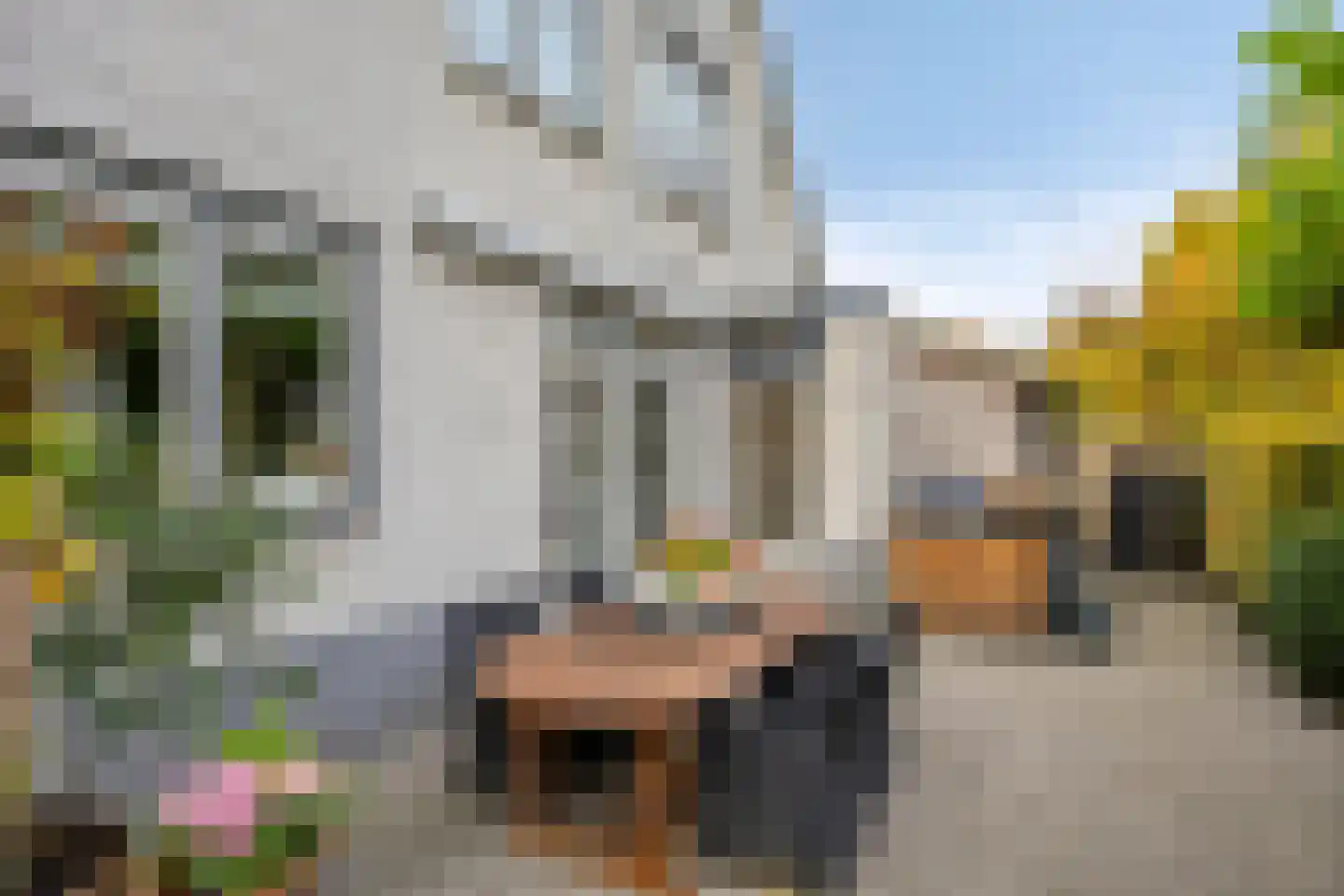 Mahlerpad 4 Veenendaal thumbnail 36