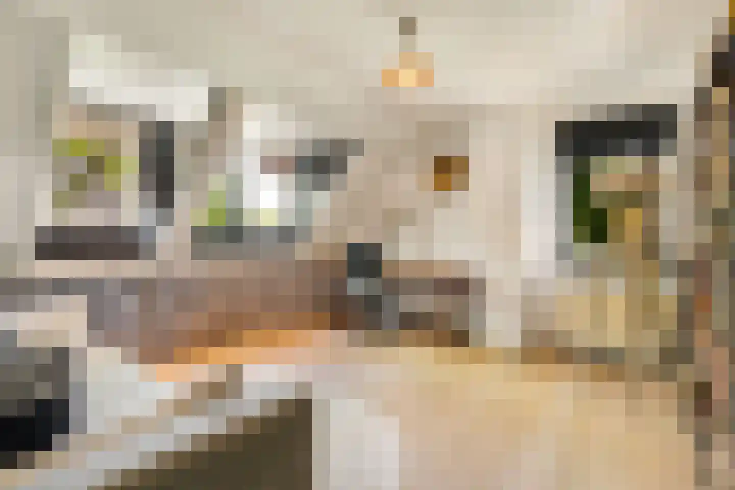 Mahlerpad 4 Veenendaal thumbnail 38