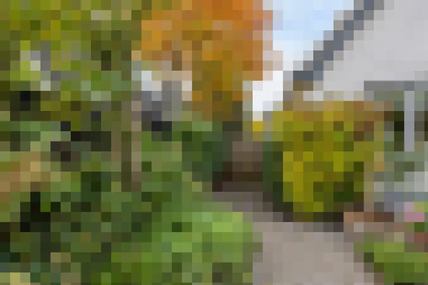 Mahlerpad 4 Veenendaal thumbnail 38
