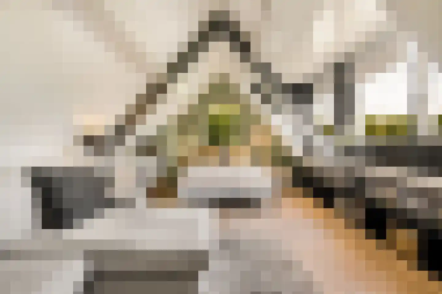 Mahlerpad 4 Veenendaal thumbnail 39
