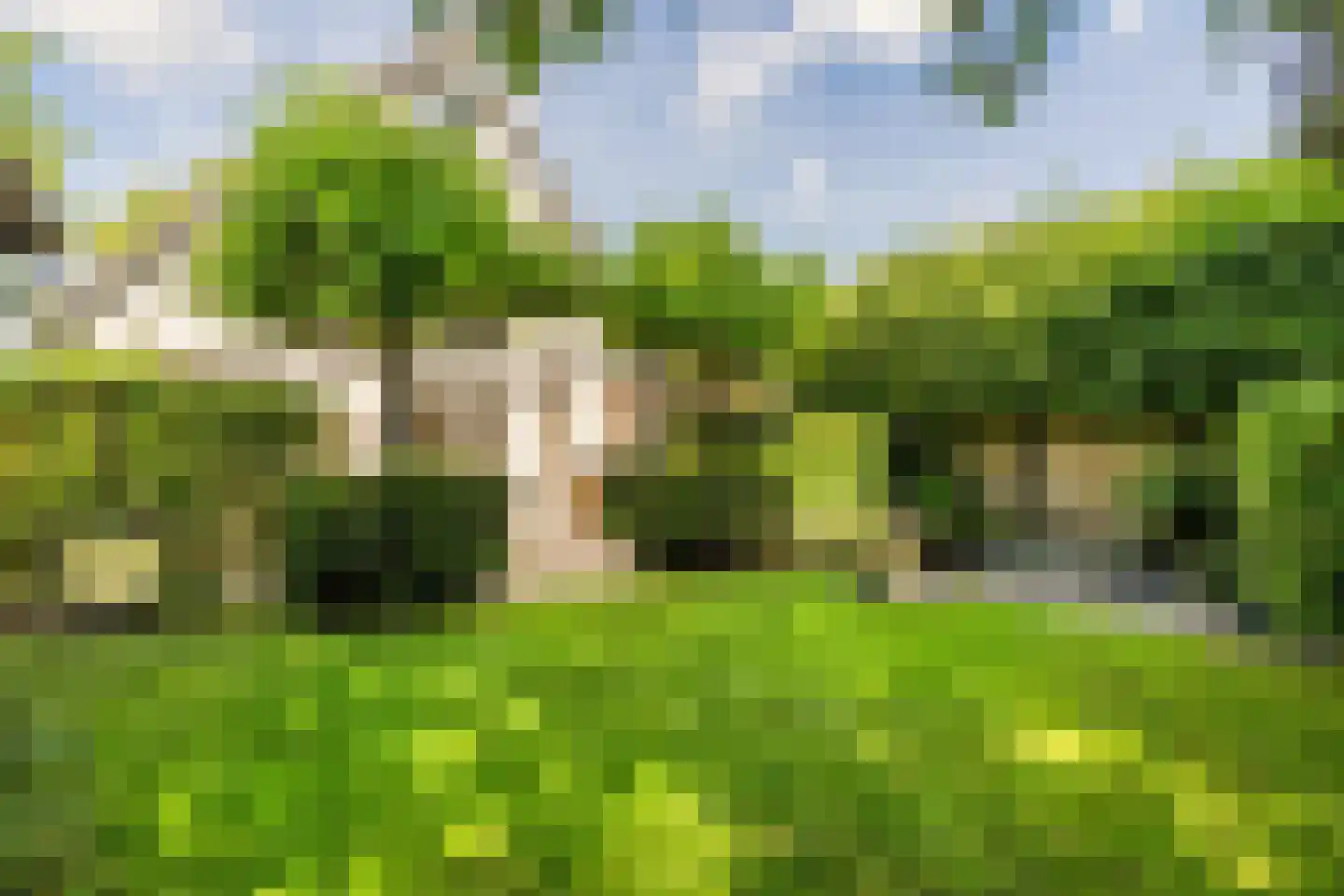Mahlerpad 4 Veenendaal thumbnail 4