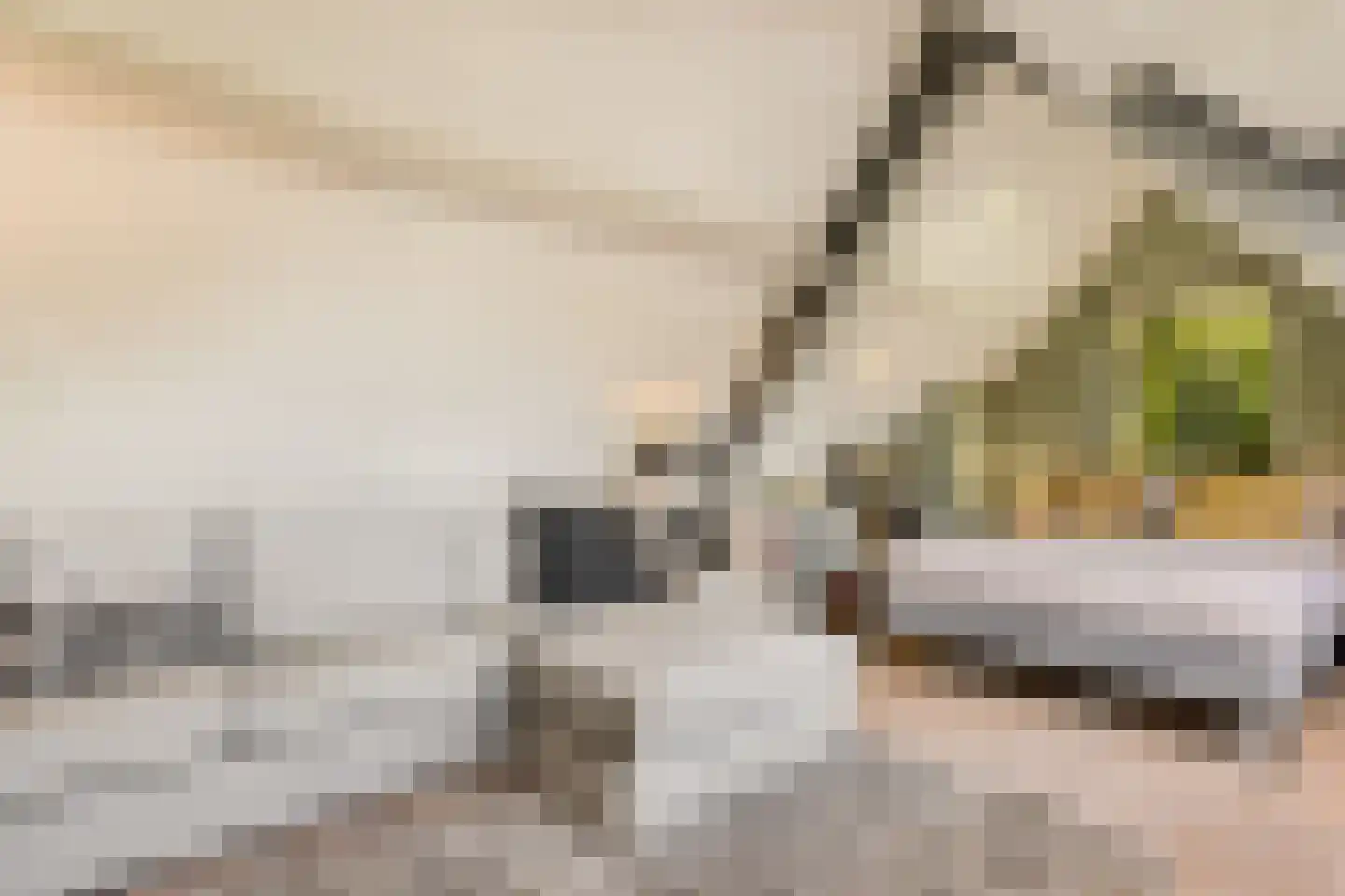Mahlerpad 4 Veenendaal thumbnail 42