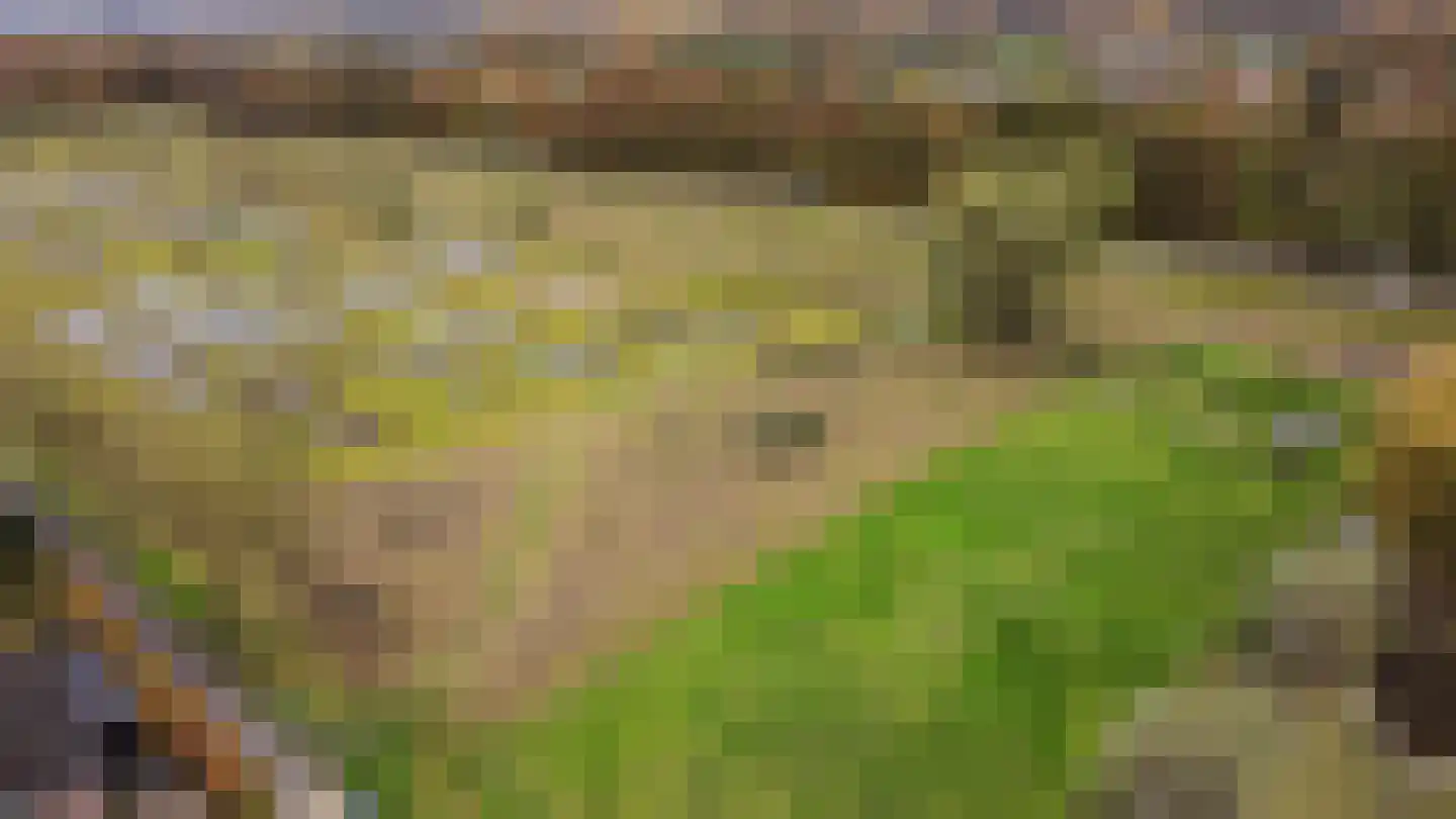 Mahlerpad 4 Veenendaal thumbnail 43