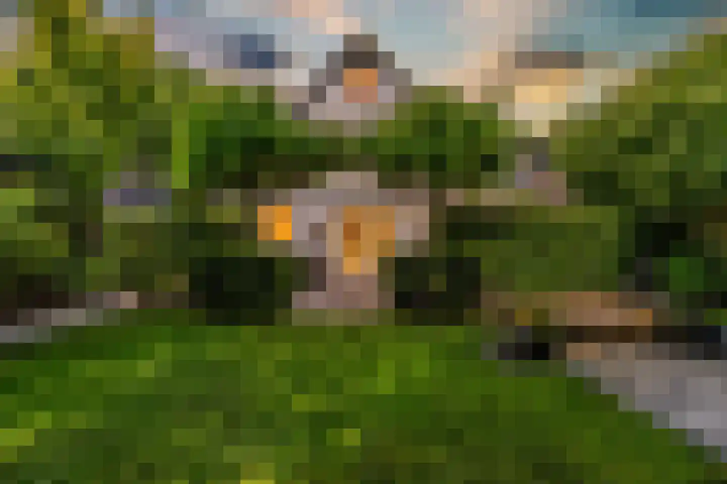 Mahlerpad 4 Veenendaal thumbnail 46
