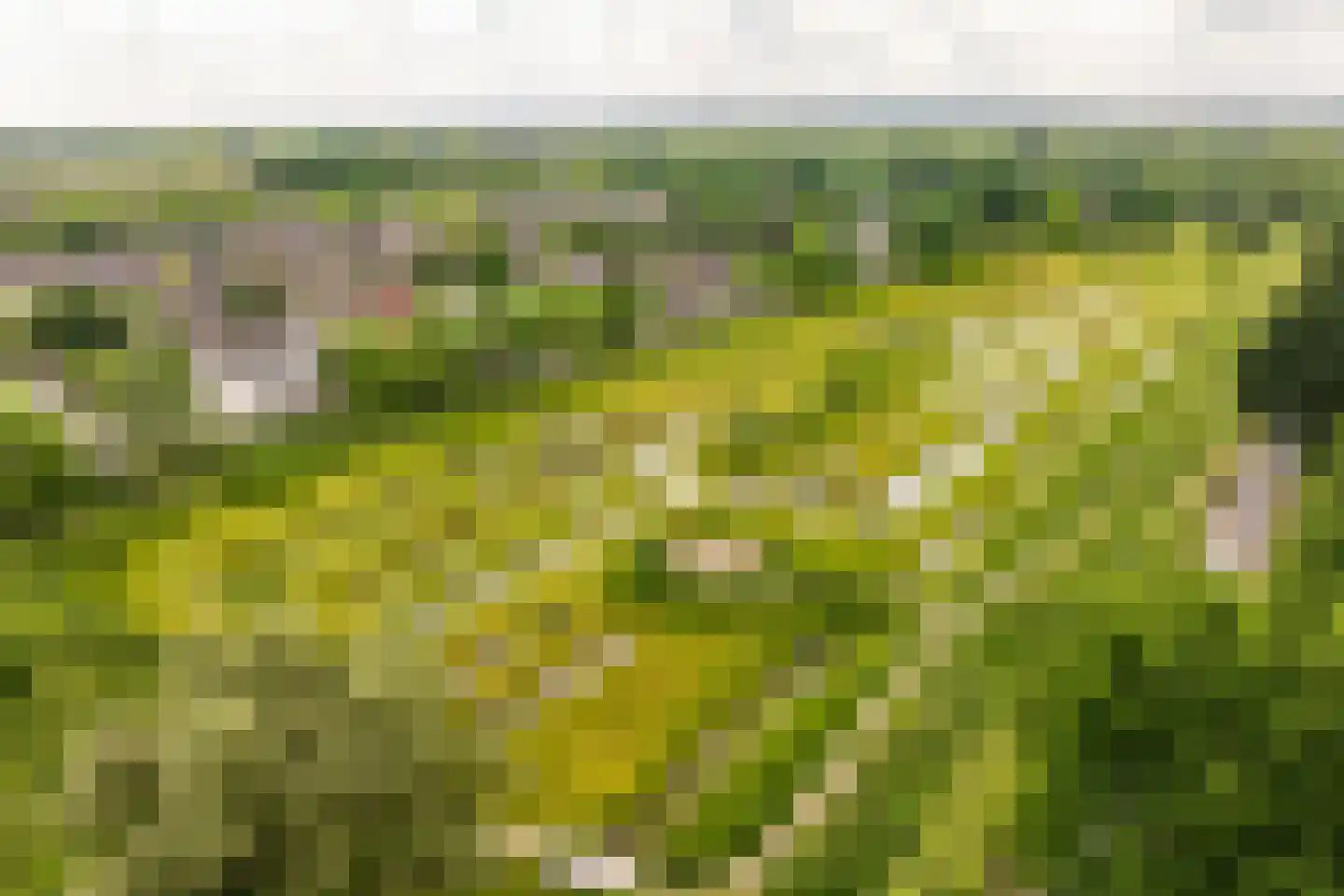 Mahlerpad 4 Veenendaal thumbnail 47
