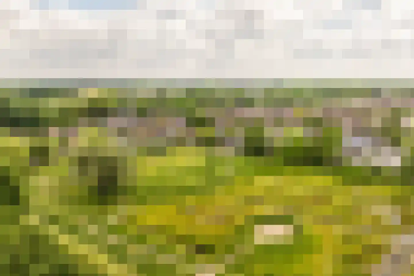 Mahlerpad 4 Veenendaal thumbnail 48