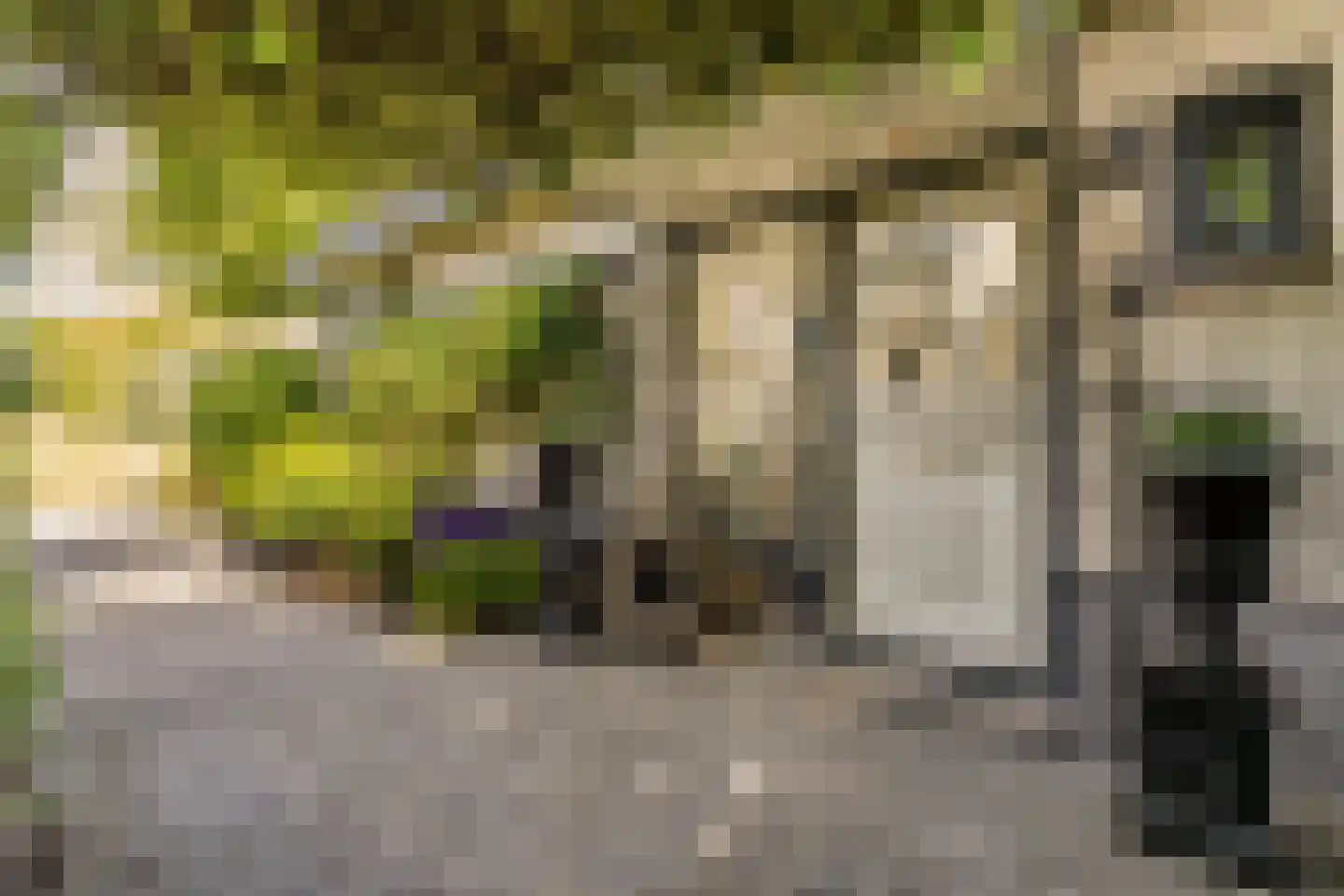 Mahlerpad 4 Veenendaal thumbnail 6