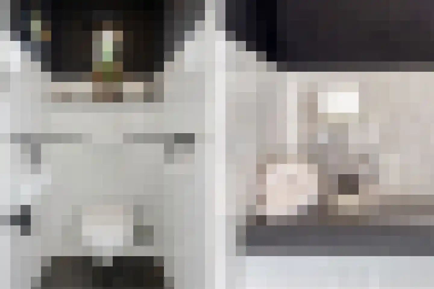 Mahlerplein 6 Sint-Oedenrode thumbnail 20