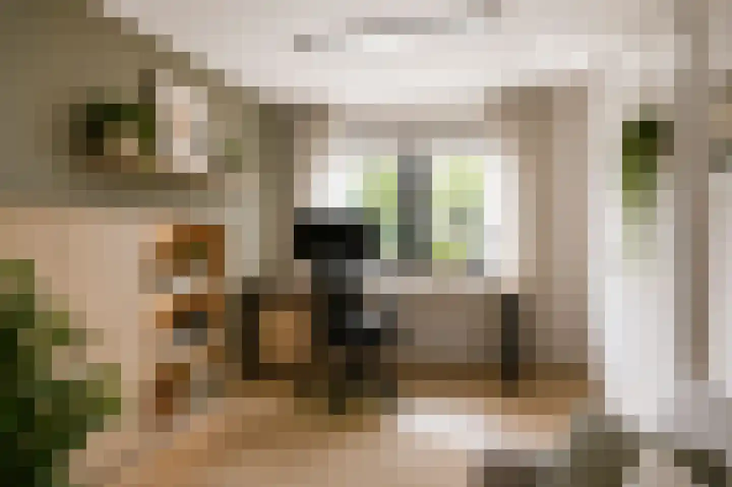 Mahlerplein 6 Sint-Oedenrode thumbnail 22