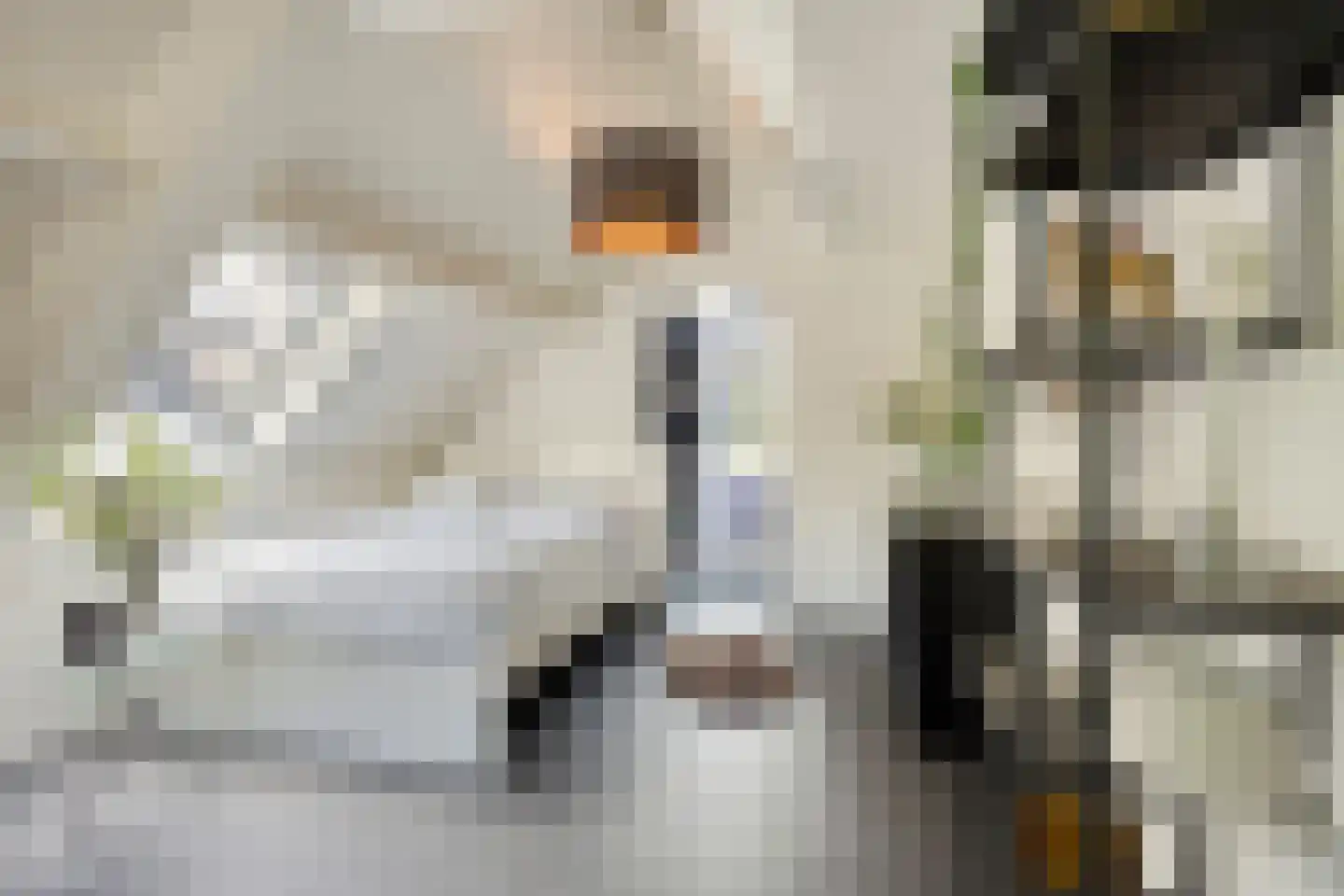 Mahlerplein 6 Sint-Oedenrode thumbnail 31