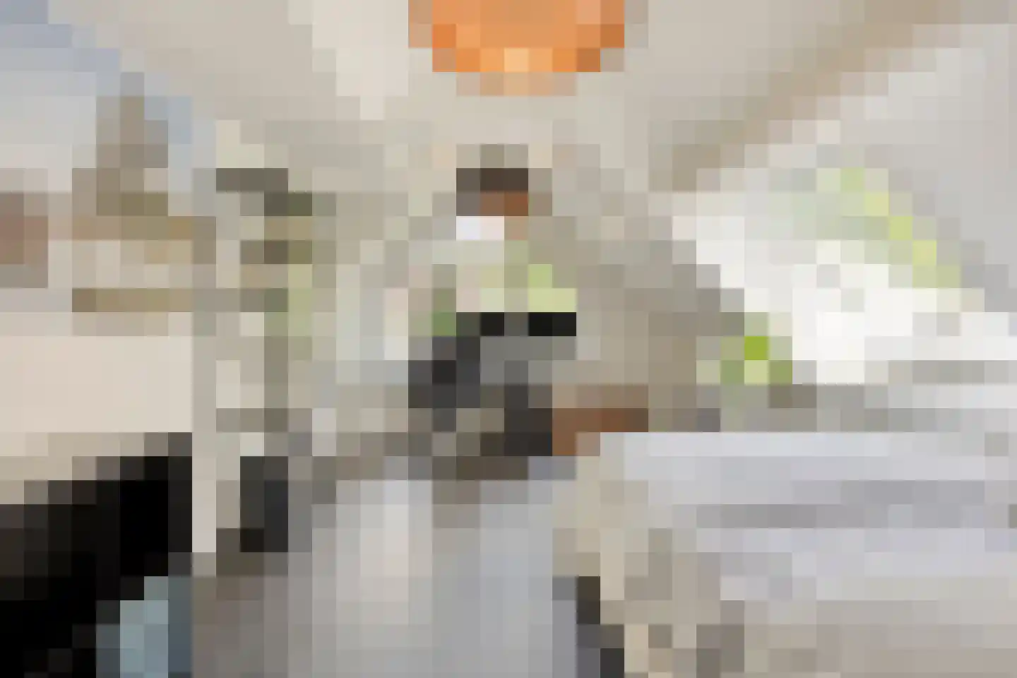 Mahlerplein 6 Sint-Oedenrode thumbnail 32