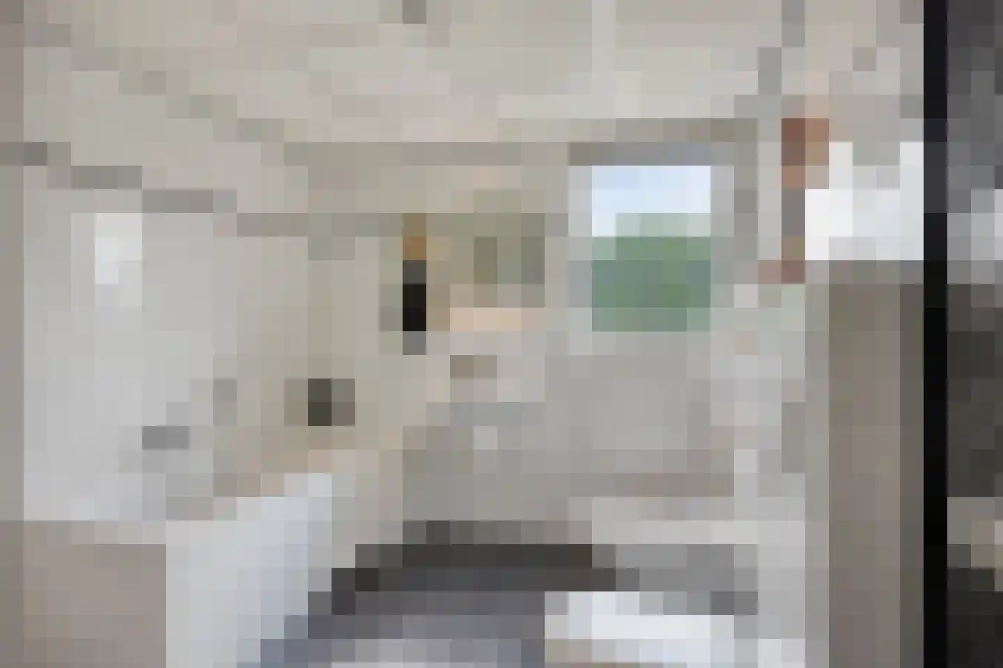 Mahlerplein 6 Sint-Oedenrode thumbnail 40