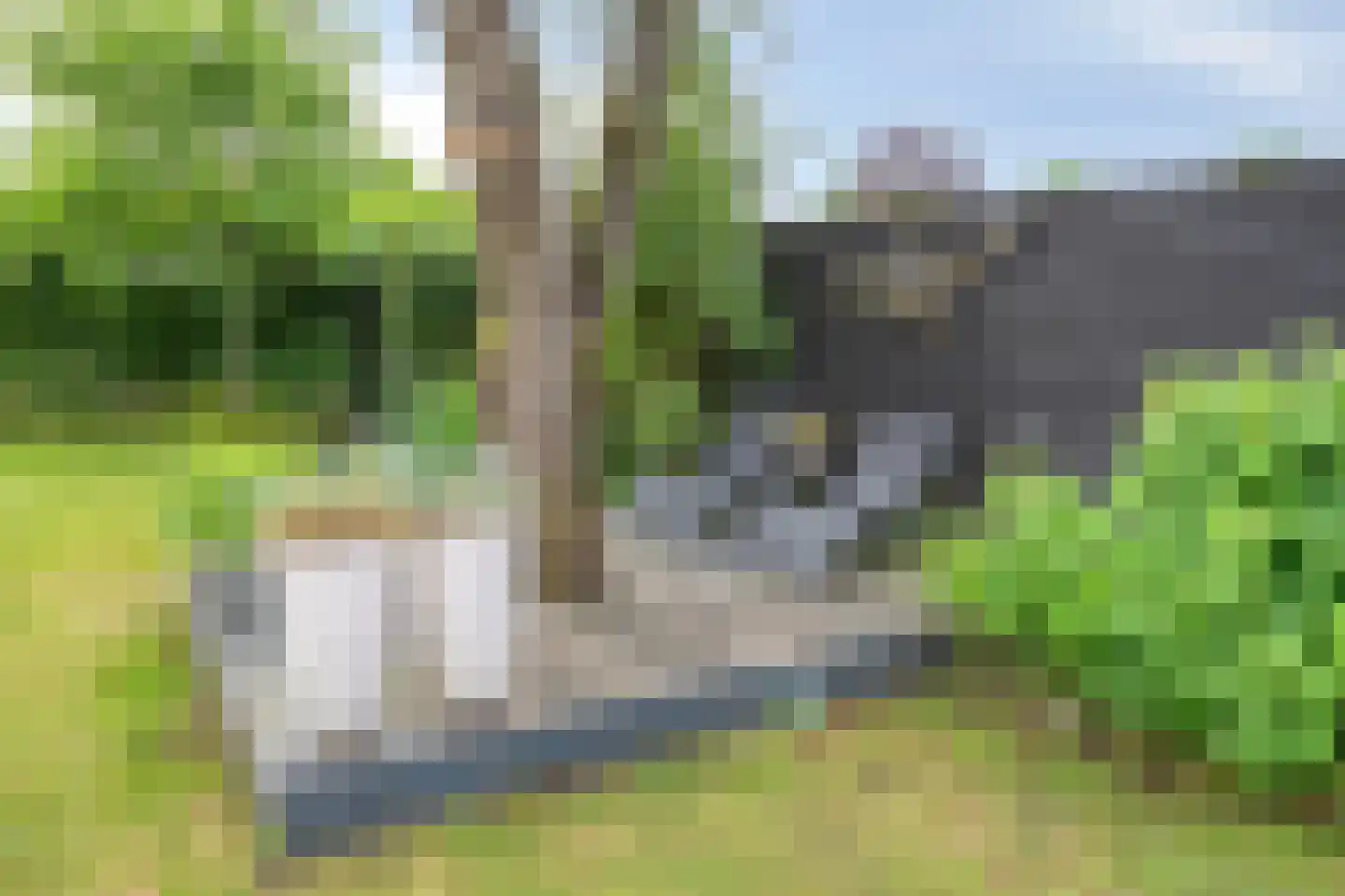 Mahlerplein 6 Sint-Oedenrode thumbnail 44