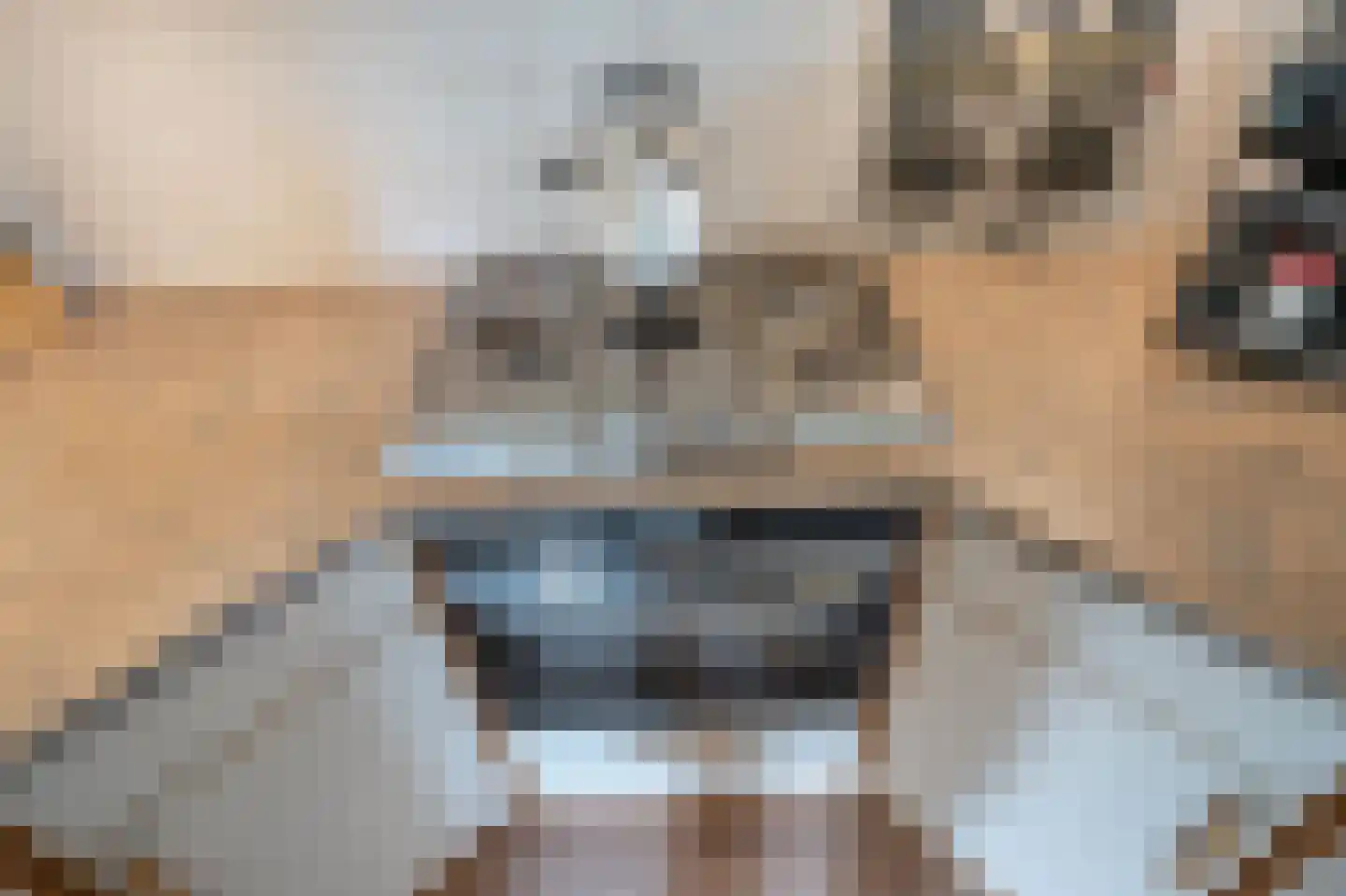 Mahlerrode 1 Zoetermeer thumbnail 10