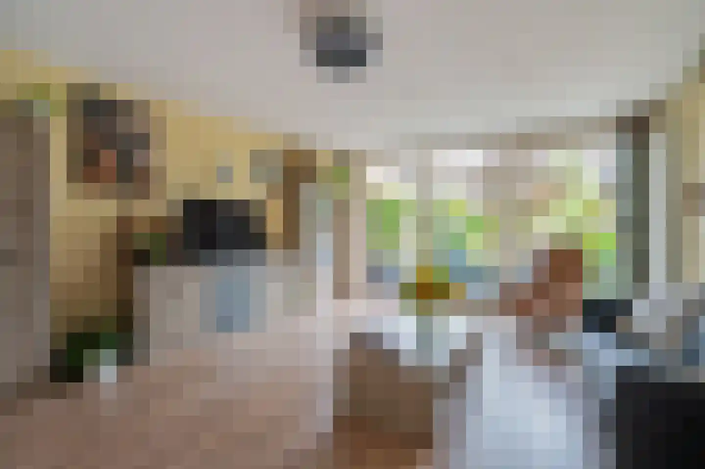 Mahlerrode 1 Zoetermeer thumbnail 11