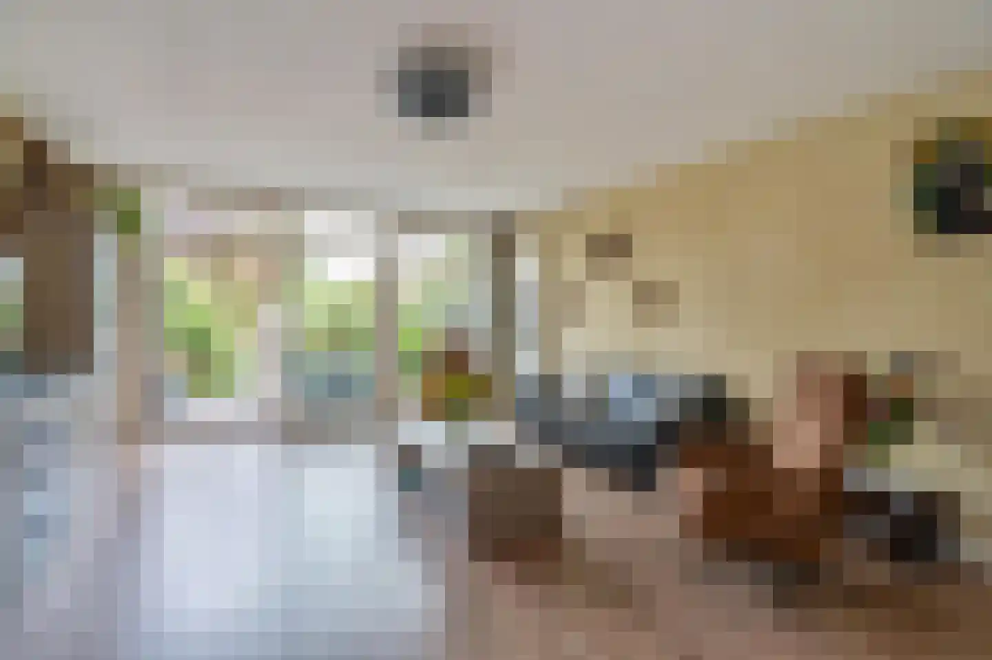 Mahlerrode 1 Zoetermeer thumbnail 12