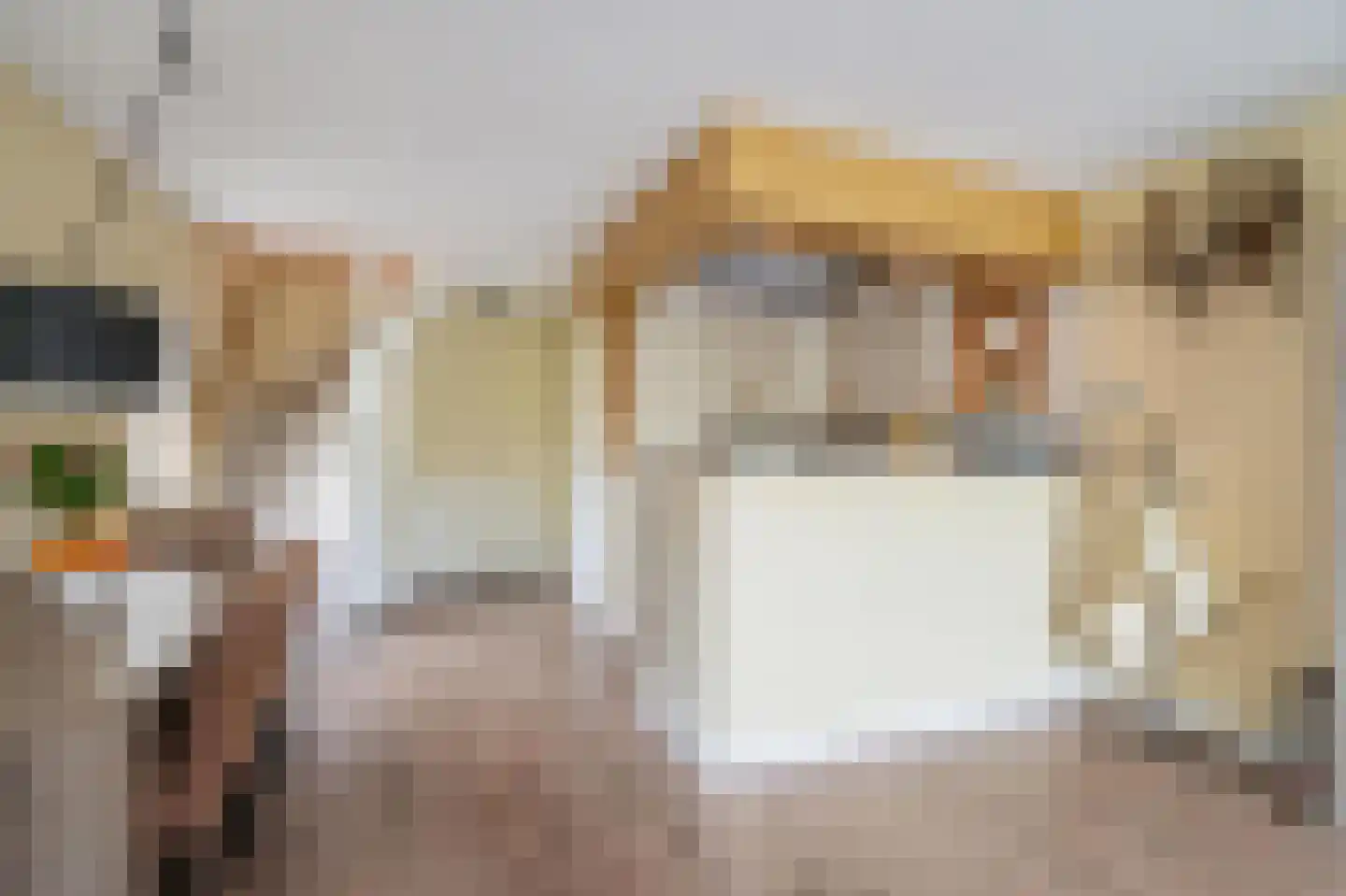 Mahlerrode 1 Zoetermeer thumbnail 15