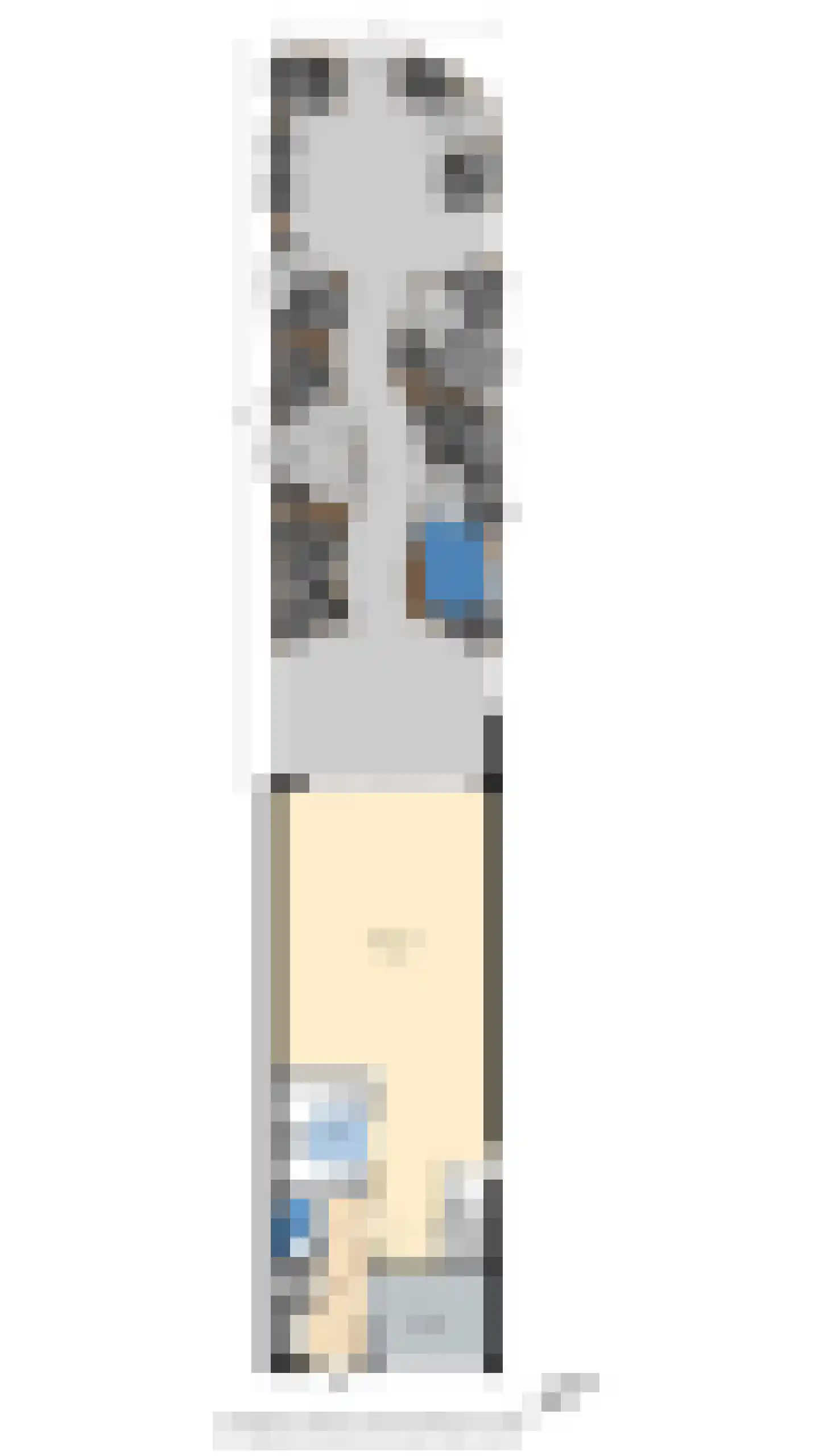 Mahlerrode 1 Zoetermeer thumbnail 33