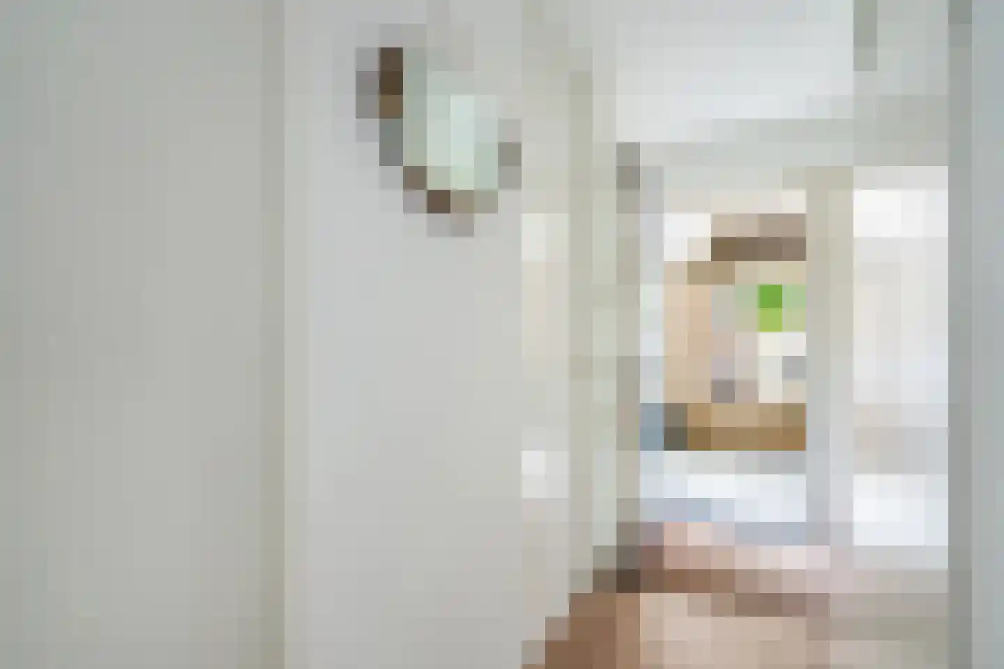 Mahlerrode 1 Zoetermeer thumbnail 6