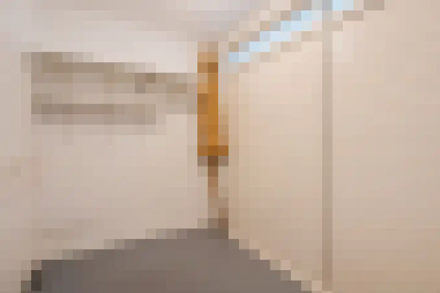 Mahlerrode 1 Zoetermeer thumbnail 7