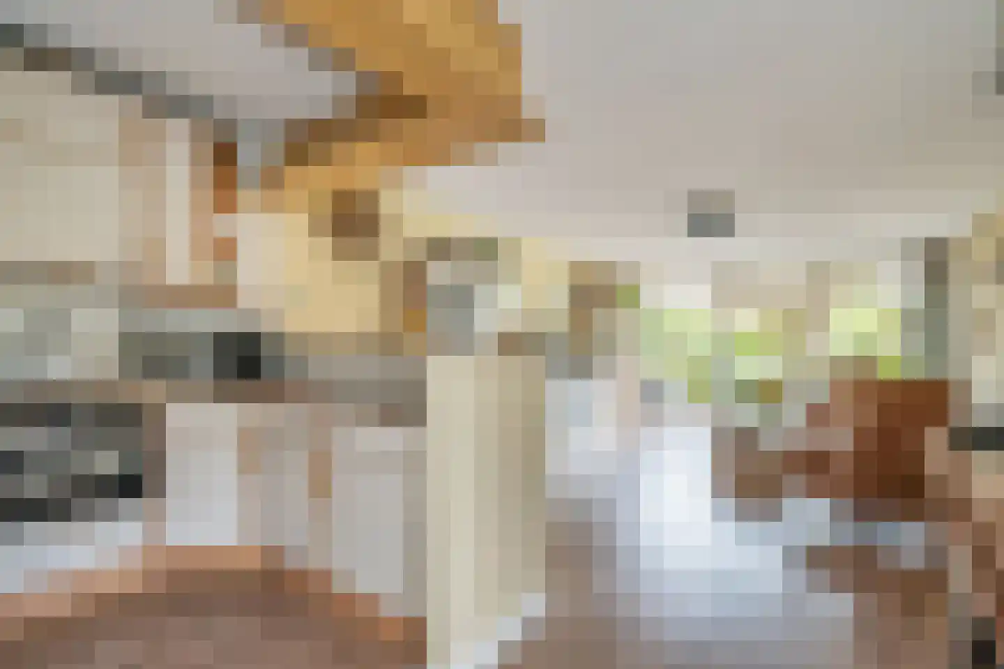 Mahlerrode 1 Zoetermeer thumbnail 8
