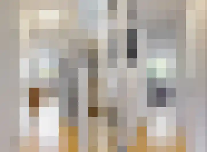 Mahlersingel 16 Nieuwegein thumbnail 12