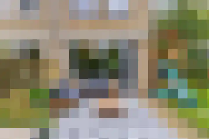 Mahlersingel 16 Nieuwegein thumbnail 16