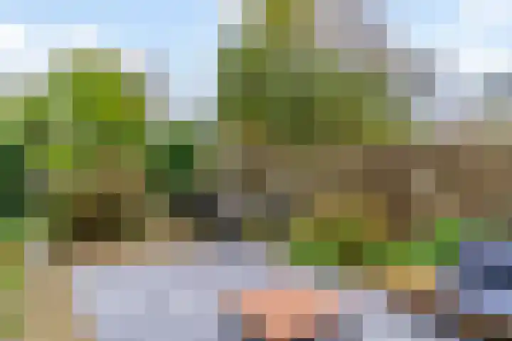 Mahlersingel 16 Nieuwegein thumbnail 17