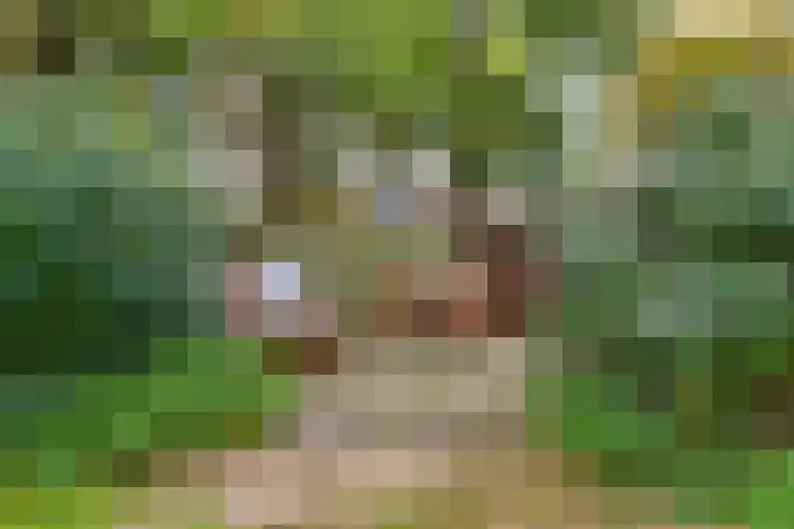 Mahlersingel 16 Nieuwegein thumbnail 19