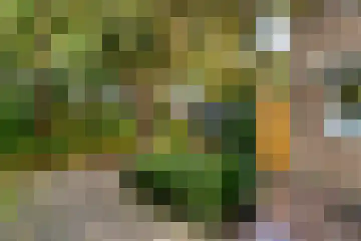 Mahlersingel 16 Nieuwegein thumbnail 40