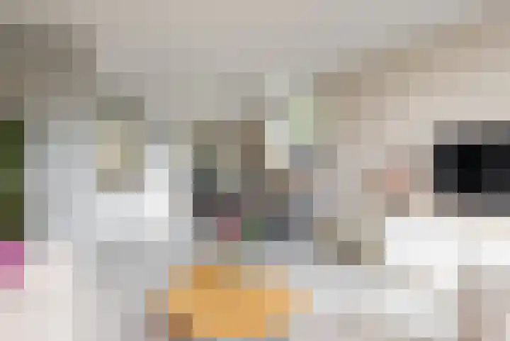 Mahlersingel 16 Nieuwegein thumbnail 6