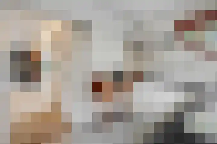 Mahlersingel 19 Rotterdam thumbnail 23