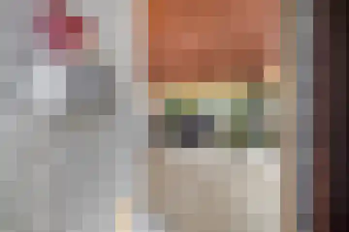 Mahlersingel 19 Rotterdam thumbnail 32
