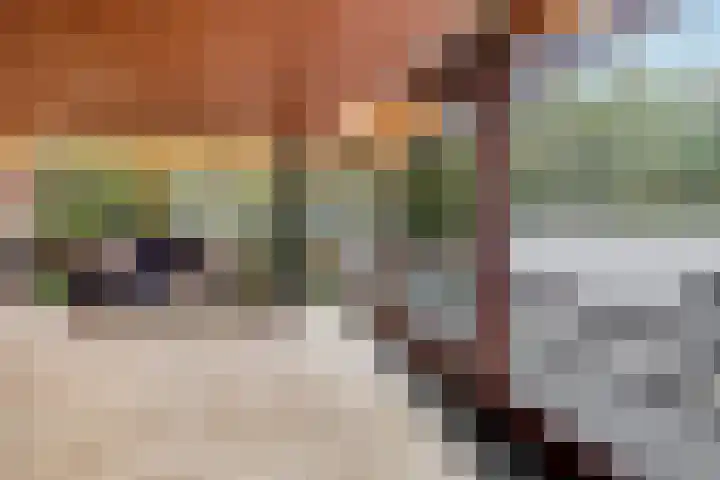 Mahlersingel 19 Rotterdam thumbnail 36