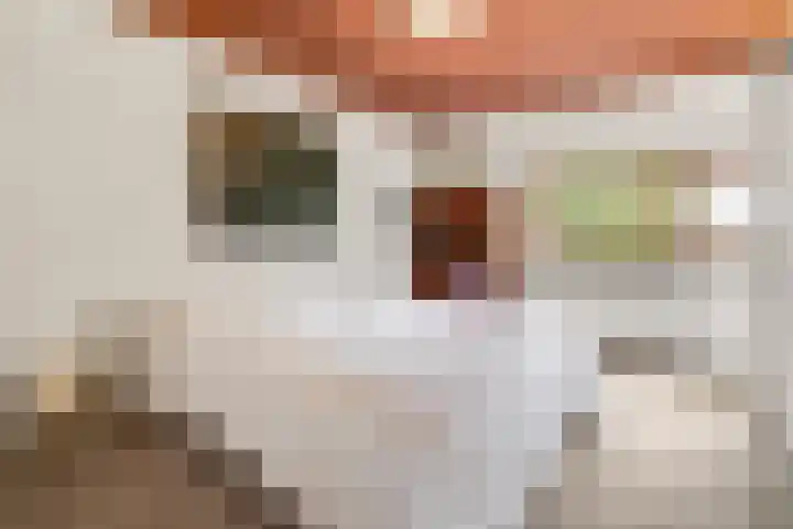 Mahlersingel 19 Rotterdam thumbnail 38