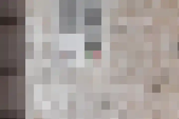 Mahlersingel 19 Rotterdam thumbnail 51