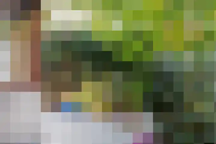 Mahlersingel 19 Rotterdam thumbnail 54
