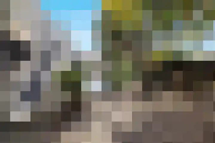 Mahlersingel 19 Rotterdam thumbnail 59