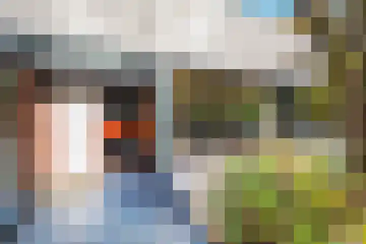 Mahlersingel 19 Rotterdam thumbnail 6