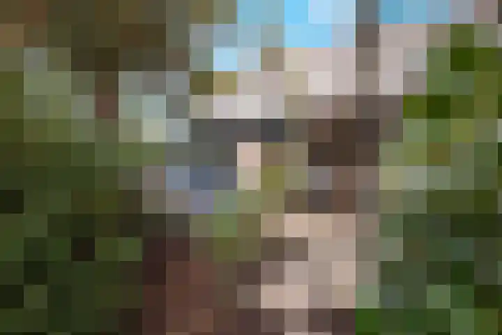 Mahlersingel 19 Rotterdam thumbnail 7