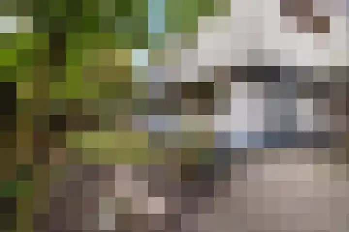 Mahlersingel 19 Rotterdam thumbnail 8