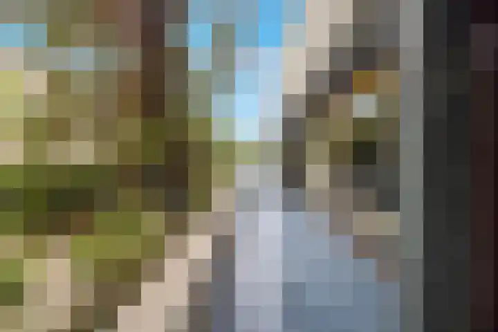 Mahlersingel 19 Rotterdam thumbnail 9