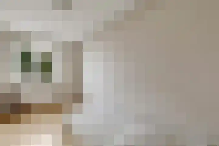 Mahlersingel 24 Nieuwegein thumbnail 20